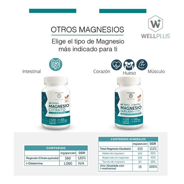 Suplemento En Cápsulas Wellplus Neuromag Pro 90 Cápsulas 9