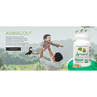 Avmacol-sulforafano (sistema Inmune, Desintoxicación) 60 Cps 3