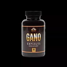 Vida Divina - Ganoderma Lucidum 90caps 1