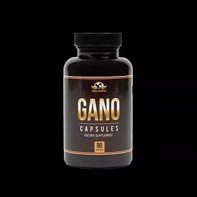 Vida Divina - Ganoderma Lucidum 90caps