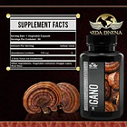 Vida Divina - Ganoderma Lucidum 90caps 2