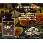 Vida Divina - Ganoderma Lucidum 90caps 3