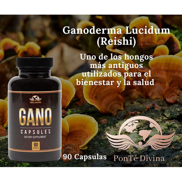 Vida Divina - Ganoderma Lucidum 90caps 3