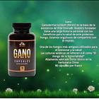 Vida Divina - Ganoderma Lucidum 90caps 4