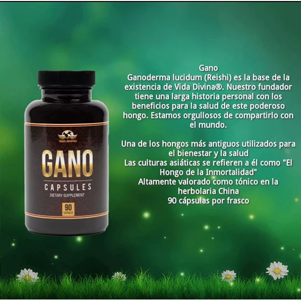 Vida Divina - Ganoderma Lucidum 90caps 4