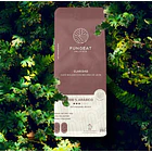 Fungeat - Café Performance Con Melena De León  250g 3