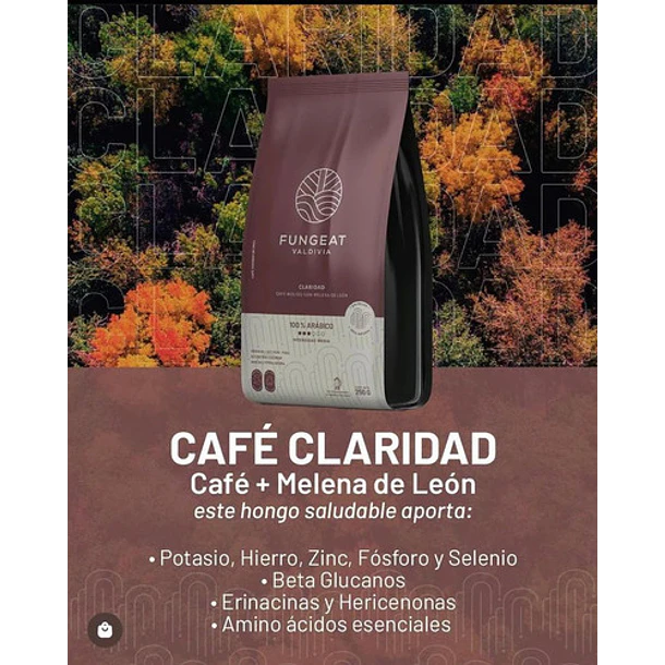 Fungeat - Café Performance Con Melena De León  250g 4