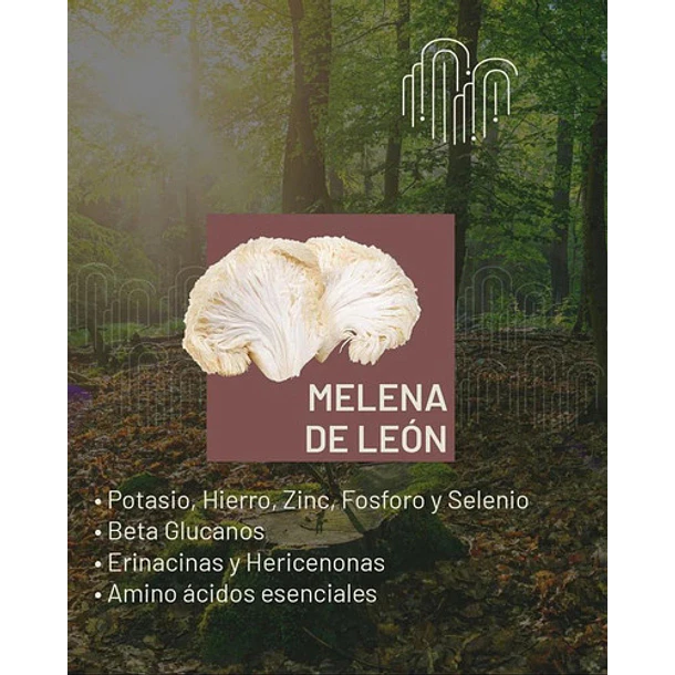 Fungeat - Café Performance Con Melena De León  250g 5