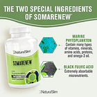 Naturalslim- Somarenew Fitoplancton Marino (omega 3) 180caps 3