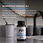 Momentous - Tongkat Ali 60 Caps 3