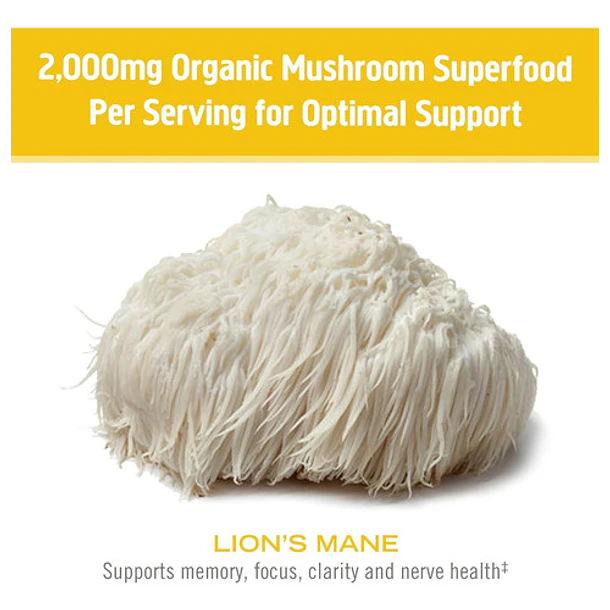 Mushroom Superfood - Melena De León Orgánico Polvo 200 Gr 6