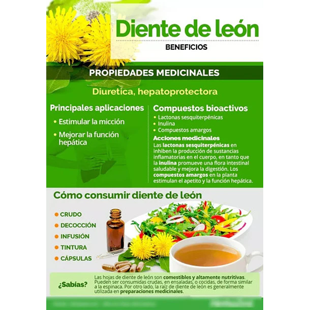 La Botica Del Alma - Diente De León 60caps 85mg. 2