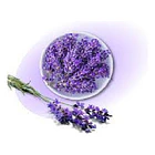 Botica Del Alma - Lavanda 60 Cápsulas 110mg 2