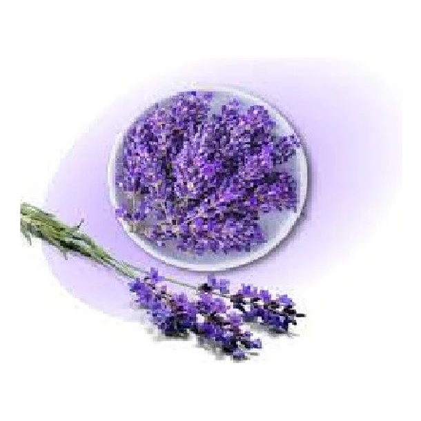 Botica Del Alma - Lavanda 60 Cápsulas 110mg 2