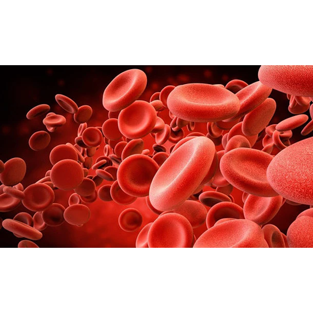 Biocare Nutrisorb Manganeso Liquido Nivel Azucar Antioxidant Sabor Sin Saber 2