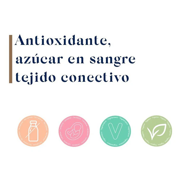 Biocare Nutrisorb Manganeso Liquido Nivel Azucar Antioxidant Sabor Sin Saber 4