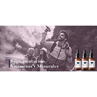 Biocare Nutrisorb Manganeso Liquido Nivel Azucar Antioxidant Sabor Sin Saber 5