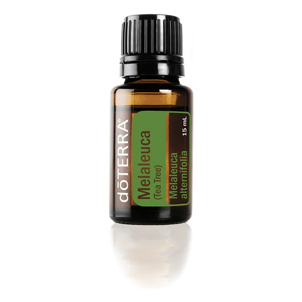 Óleo Essencial 100% Puro Melaleuca 15 Ml Árbol De Té 1