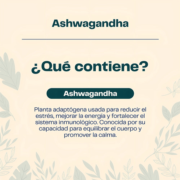 Karun Life - Ashwagandha 450 Mg 60 Cápsulas - Sin Sabor 3