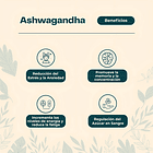 Karun Life - Ashwagandha 450 Mg 60 Cápsulas - Sin Sabor 4