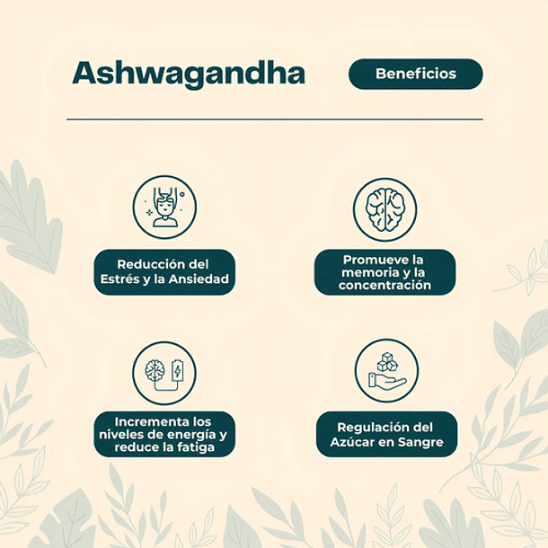 Karun Life - Ashwagandha 450 Mg 60 Cápsulas - Sin Sabor 4