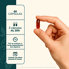 Ashwagandha Karun Life 450 Mg 60 Cápsulas Karun Life Sin Sabor 4