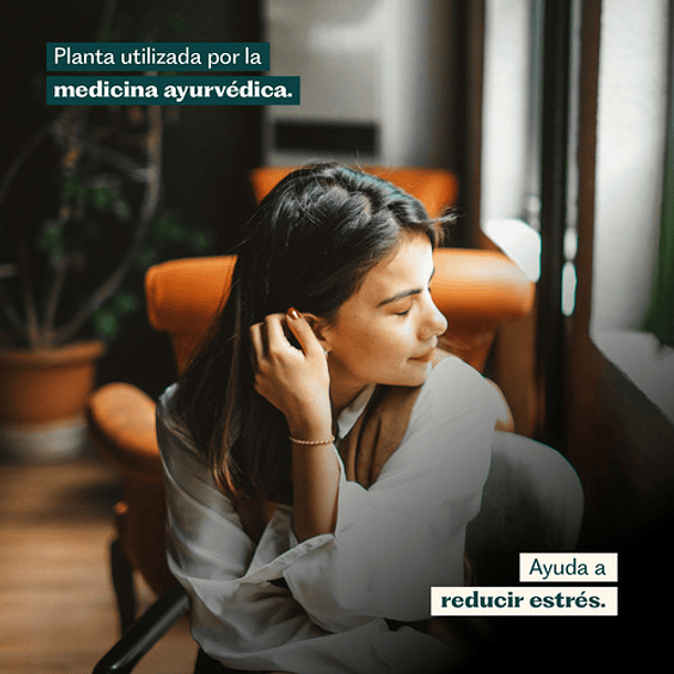 Ashwagandha Karun Life 450 Mg 60 Cápsulas Karun Life Sin Sabor 6