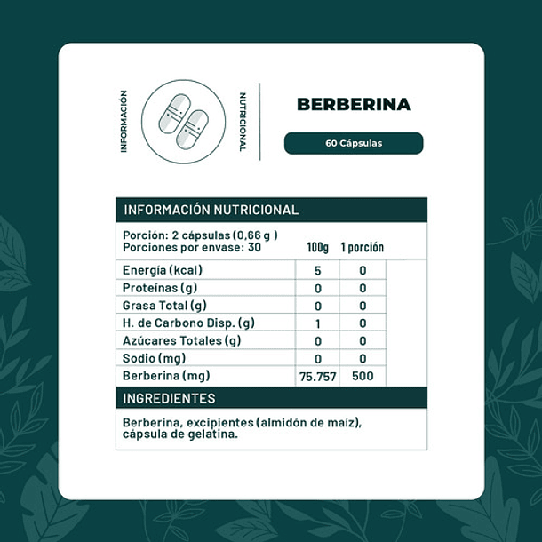 Berberina 60 Cápsulas Karun Life Sin Sabor 3