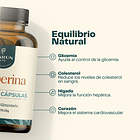 Berberina 60 Cápsulas Karun Life Sin Sabor 4