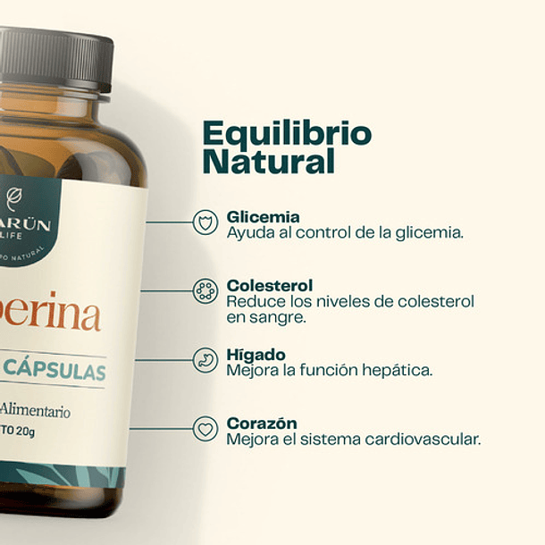 Berberina 60 Cápsulas Karun Life Sin Sabor 4