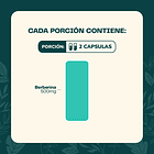 Berberina 60 Cápsulas Karun Life Sin Sabor 6