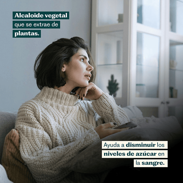 Berberina 60 Cápsulas Karun Life Sin Sabor 7