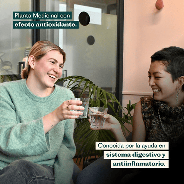 Karun Life - Cardo Mariano 450 Mg 90 Cápsulas N/a 5