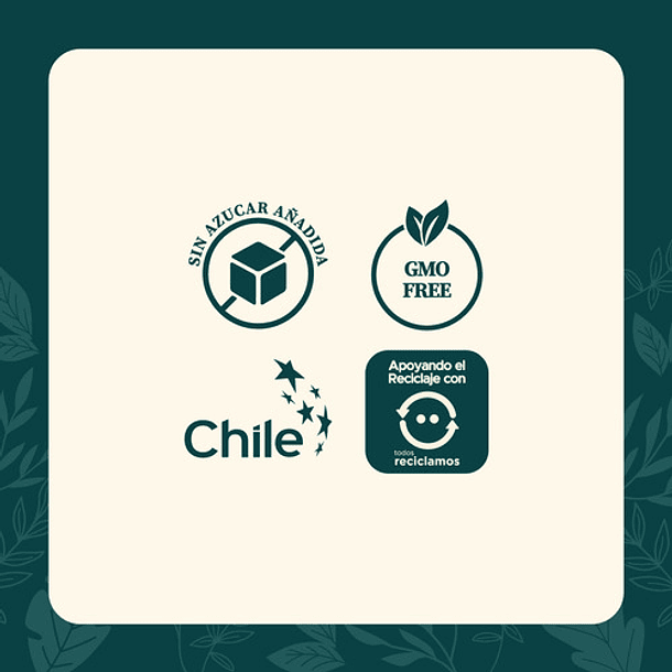 Berberina 60 Cápsulas Karun Life Sin Sabor 8