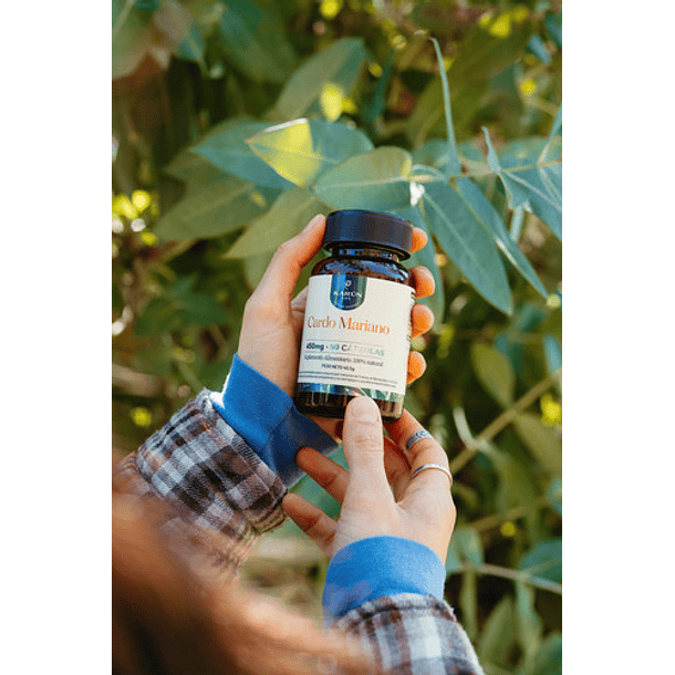 Karun Life - Cardo Mariano 450 Mg 90 Cápsulas N/a 6