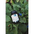 Karun Life - Cardo Mariano 450 Mg 90 Cápsulas N/a 7