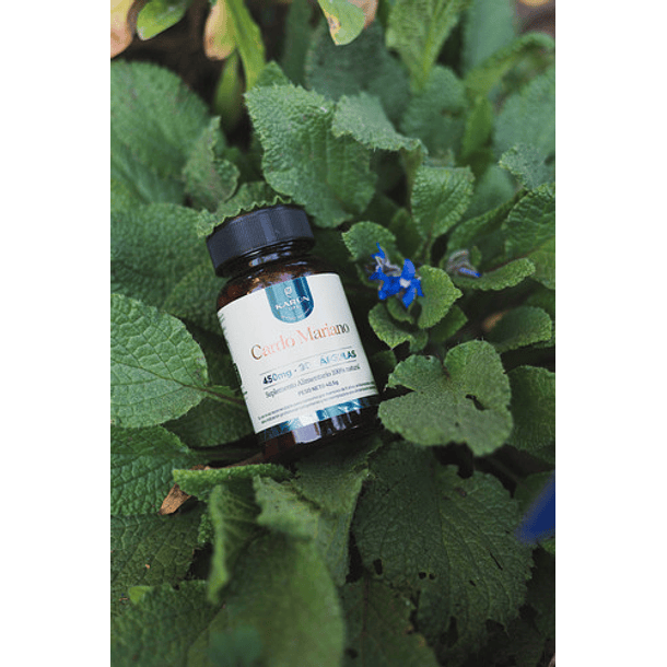 Karun Life - Cardo Mariano 450 Mg 90 Cápsulas N/a 7