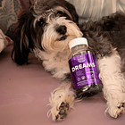 Gomitas Dreams Magnesio L-triptófano Vit B6 60 Un Karun Life Frutos Rojos 2