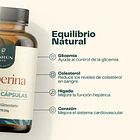 Berberina 60 Cápsulas Karun Life Sin Sabor 4