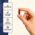 Astaxantina + Colágeno Hidrolizado Karun Life 30 Cápsulas Premium Sin Sabor 5
