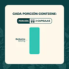 Berberina 60 Cápsulas Karun Life Sin Sabor 6