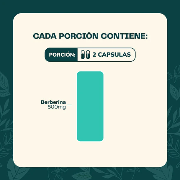 Berberina 60 Cápsulas Karun Life Sin Sabor 6