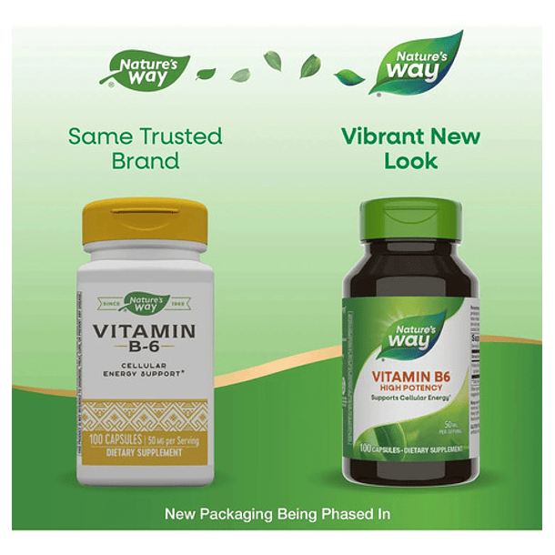 Natures Way - Vitamina B6 50mg 100 Capsulas N/a 4