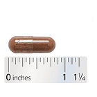 Natures Way - Extracto De Canela 60 Capsulas N/a 6