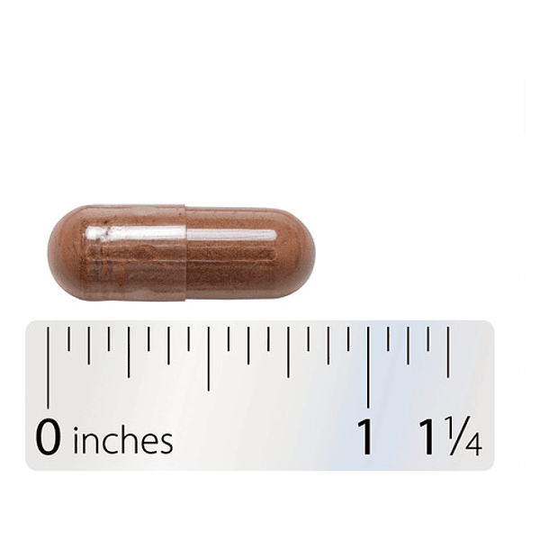 Natures Way - Extracto De Canela 60 Capsulas N/a 6