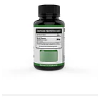 Neurotroopics- L-theanina 200mg 90capsulas Ninguno 2
