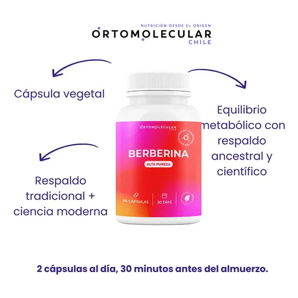 Berberina 500mg 60 Capsulas Alta Pureza Equilibrio Metabolico Y Bienestar Corporal Ortomolecular Sin Sabor 3