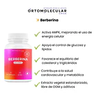Berberina 500mg 60 Capsulas Alta Pureza Equilibrio Metabolico Y Bienestar Corporal Ortomolecular Sin Sabor 4