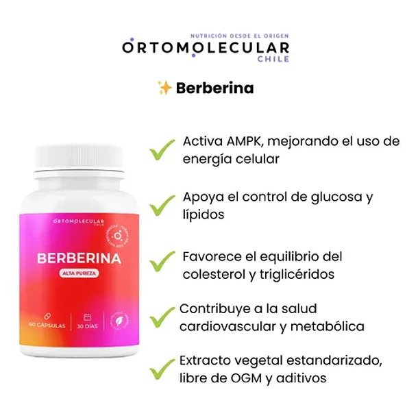 Berberina 500mg 60 Capsulas Alta Pureza Equilibrio Metabolico Y Bienestar Corporal Ortomolecular Sin Sabor 4