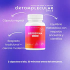 Berberina 500mg 60 Capsulas Alta Pureza Equilibrio Metabolico Y Bienestar Corporal Ortomolecular Sin Sabor 7